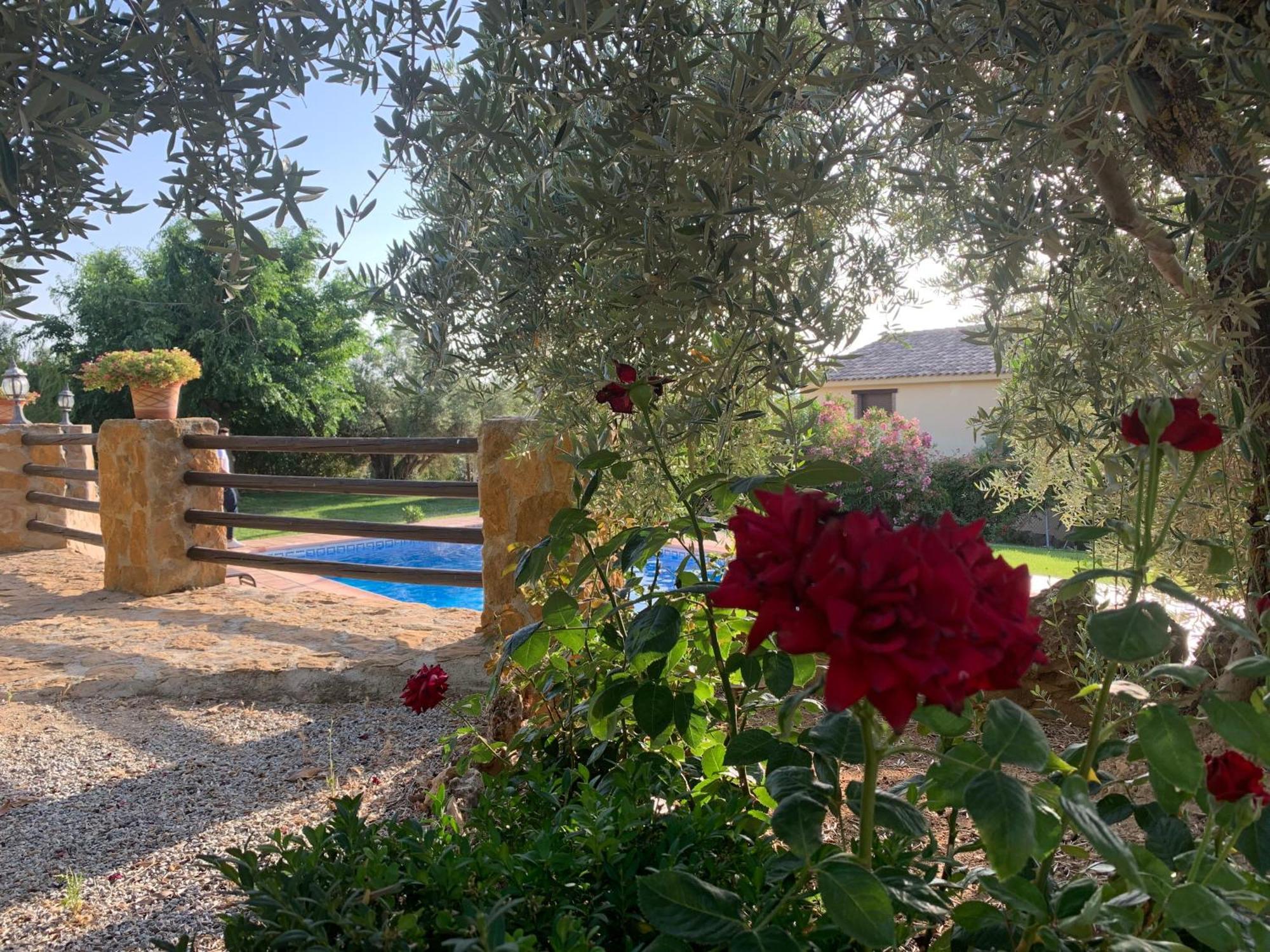 Lenta Suites Pozo Alcón Exteriör bild